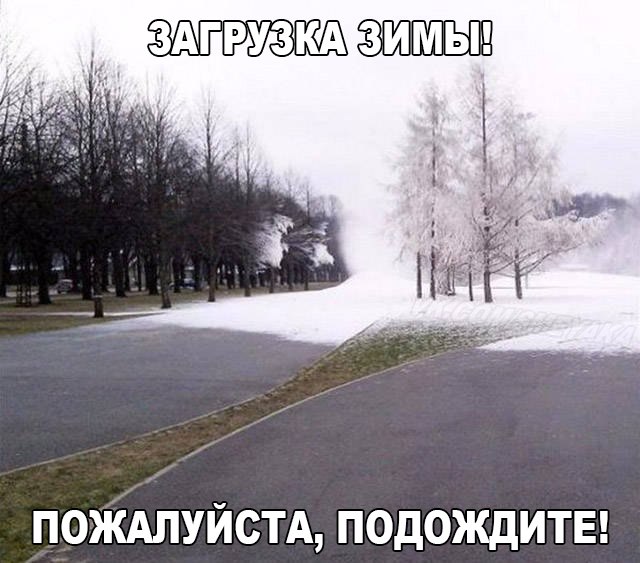Порция картинок из сети.