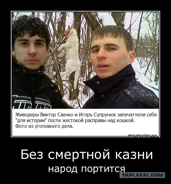 За издевательства над животными только тюрьма: срок от двух до семи лет!