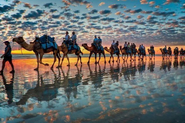 Моменты, запечатлённые на фото и просто позитив 5