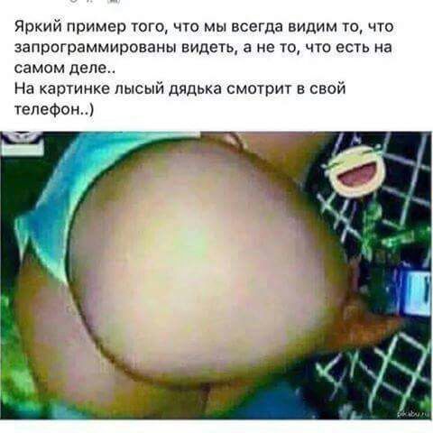 Подборка интересных и веселых картинок
