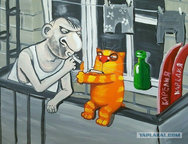 Как кошки приручили людей. Научное исследование