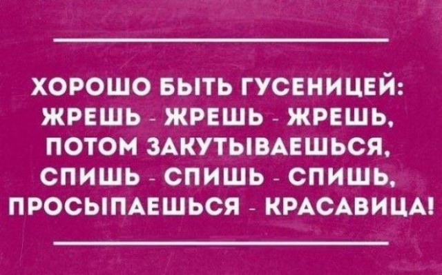 Вспомним былое. Прикольные баяны за 2017 год