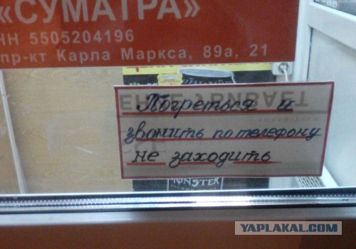 “Если вам мешают животные, не заходите в наш магазин!” Бутики Стамбула открыли двери для замерзающих собак