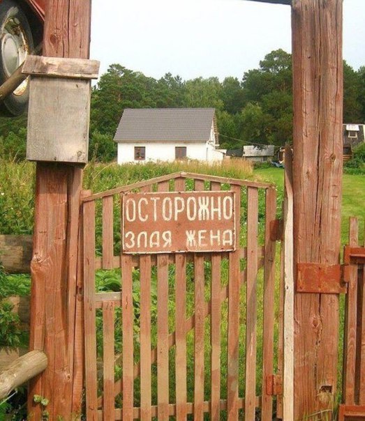 Нестандартный юмор