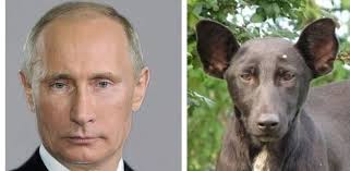 Путин поручил: "обеспечить вхождение России в пятёрку крупнейших экономик мира до 2024 года"