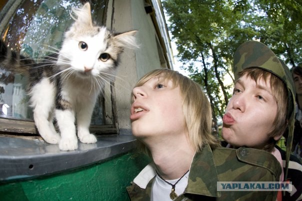 Котовторник  на  ЯПлакалъ