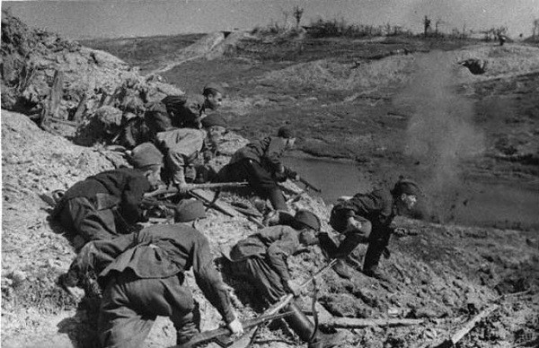 Героическая гибель одного полка. Дон-1942.