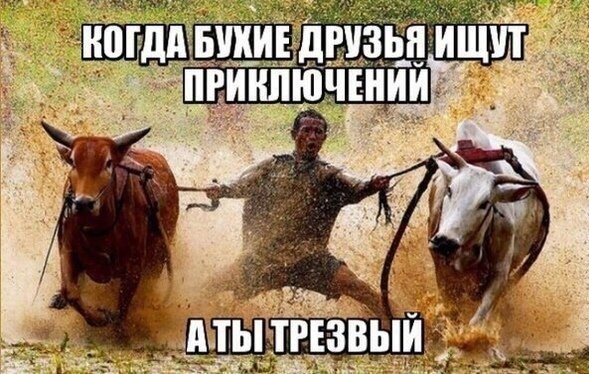 Клуб анонимных алкоголиков