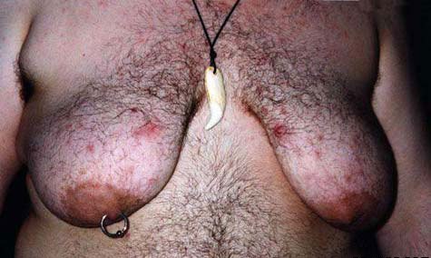 Скотсети и прочие интернеты 04.03.19