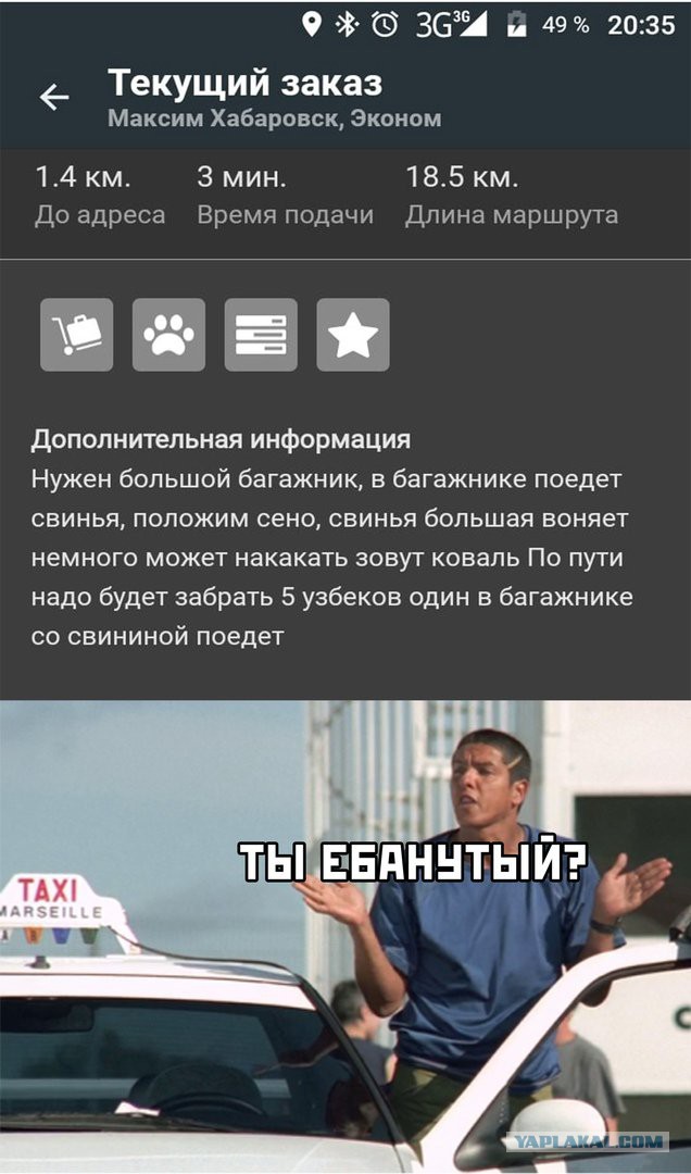 Анекдоты, соц-сети, истории и картинки с надписями
