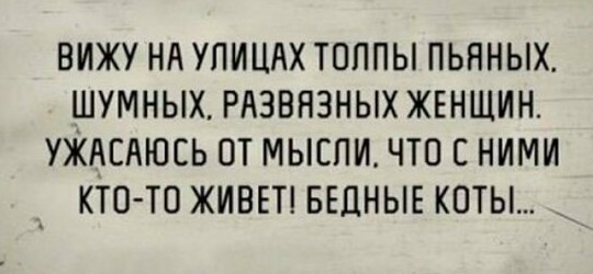 Анекдоты, соц-сети и картинки с надписями