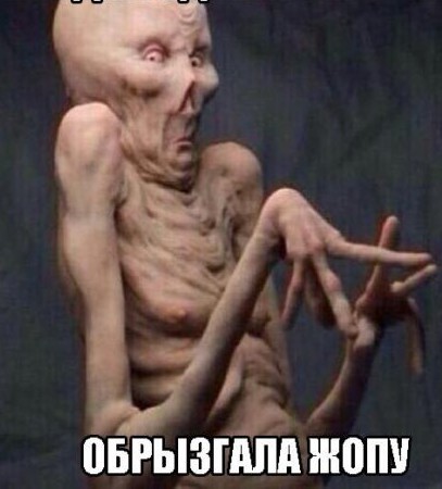 Покусились на святое
