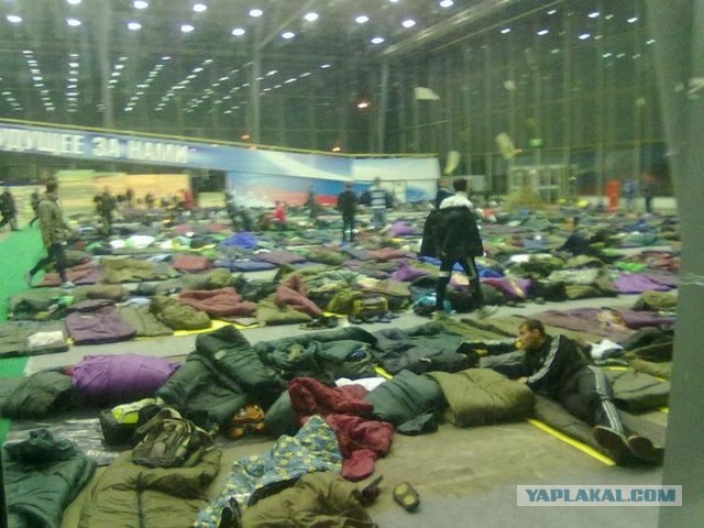 Митинг 23 февраля. Лужники