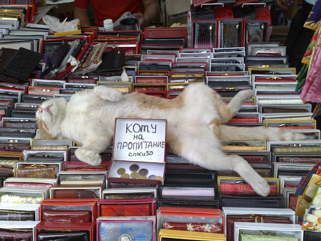 Чуток картинок!