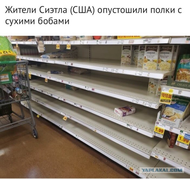 Когда паника граничит с маразмом: как не надо себя вести во время пандемии