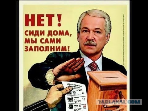 Удаленное голосование по конституции