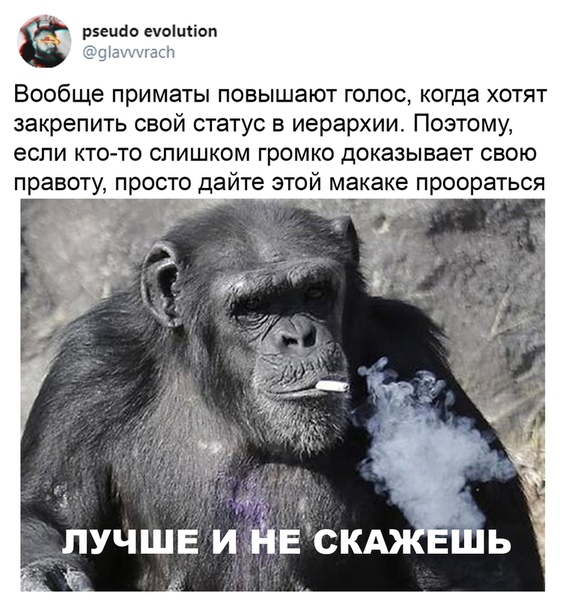 Немного картинок для настроения 27.06.20