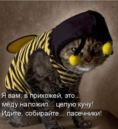 Юмор в картинках 13.10.20