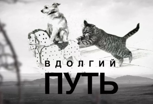 Ереван и Баку заявили о серьезных потерях в Карабахе