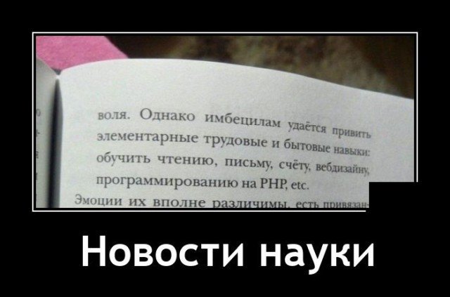Прикольные и просто красивые картинки 11.02.2021