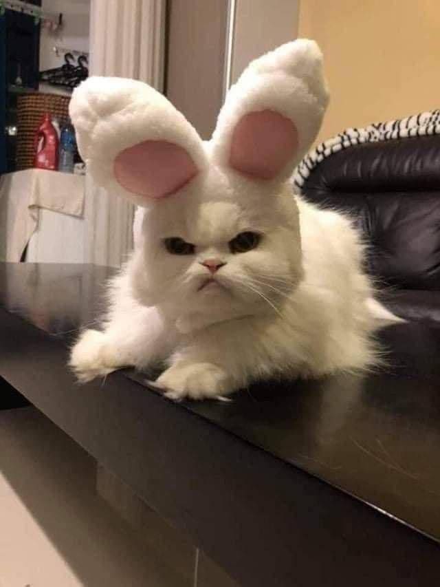 Кибер Понедельник
