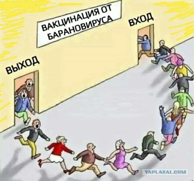 Всякие картинки,  но больше куаркодная и политота