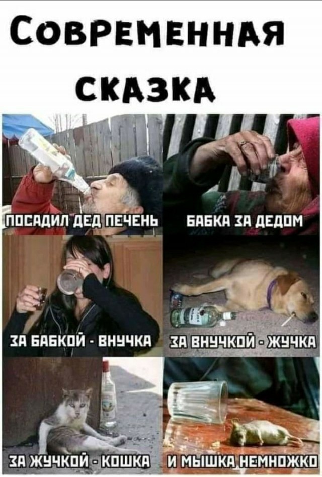 Следуйте за мной