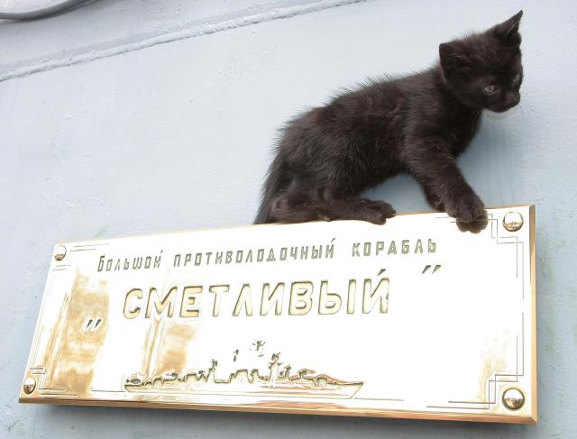 Мокрая подборка