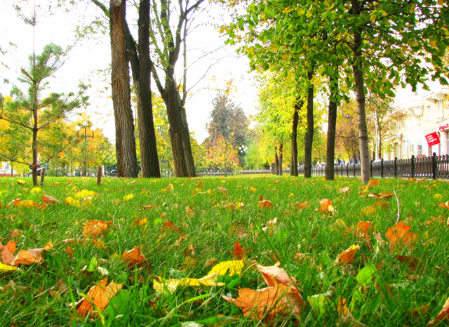 Город Белгород