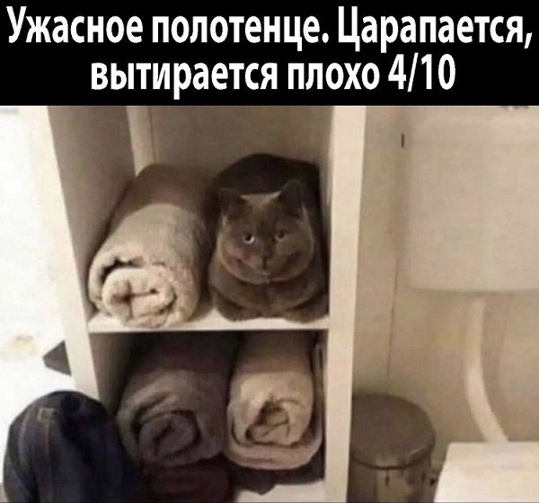 40 картинок разных 22.03.2022