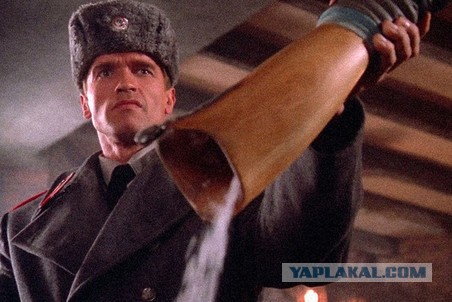 Дадим или не дадим?