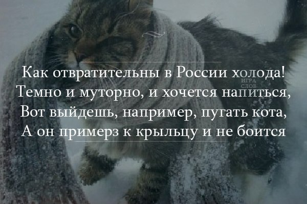 Когда не любишь зиму