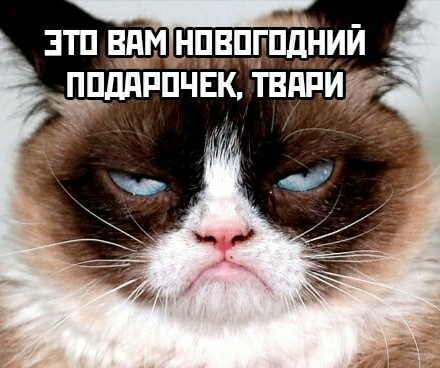 Юмор в картинках и без 15.12.2022