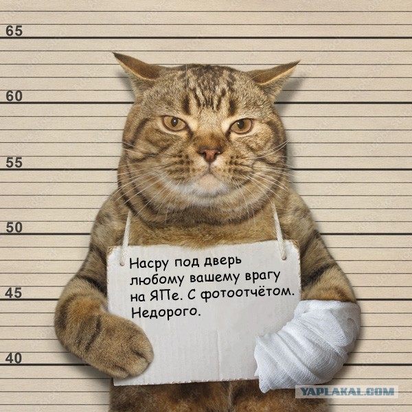 ККК № 29 «Снежная сказка»