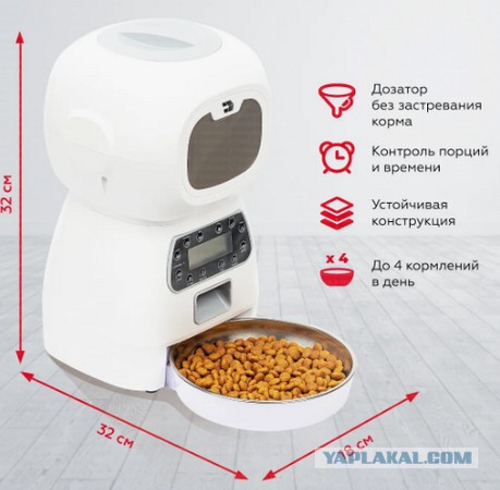 Как отучить кота будить меня по ночам?