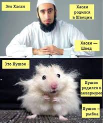 Единственный кто бросился на террориста устроившего в Сиднейском ТЦ резню - оказался русский мужик!
