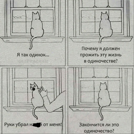 Вы почему не помогли девушке?
