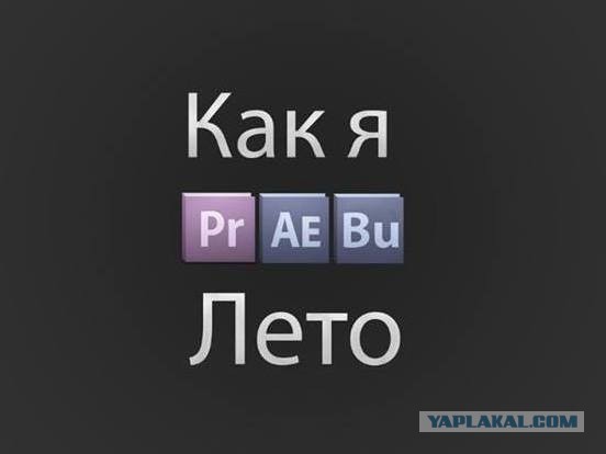 Смешные картинки с надписями и планы на лето 2025