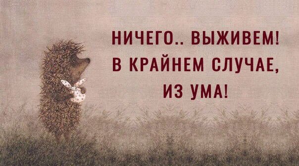 В России начали массово аннулировать электронные ПТС