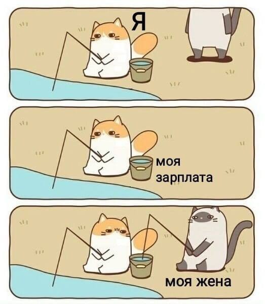 Картинки среды