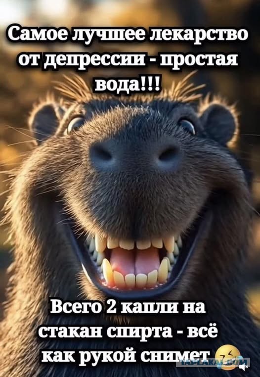 Субботние картинки