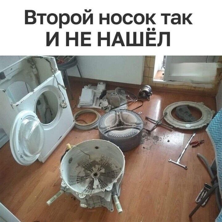 20747851.jpg
