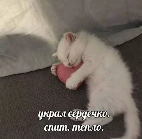 Котямбосы