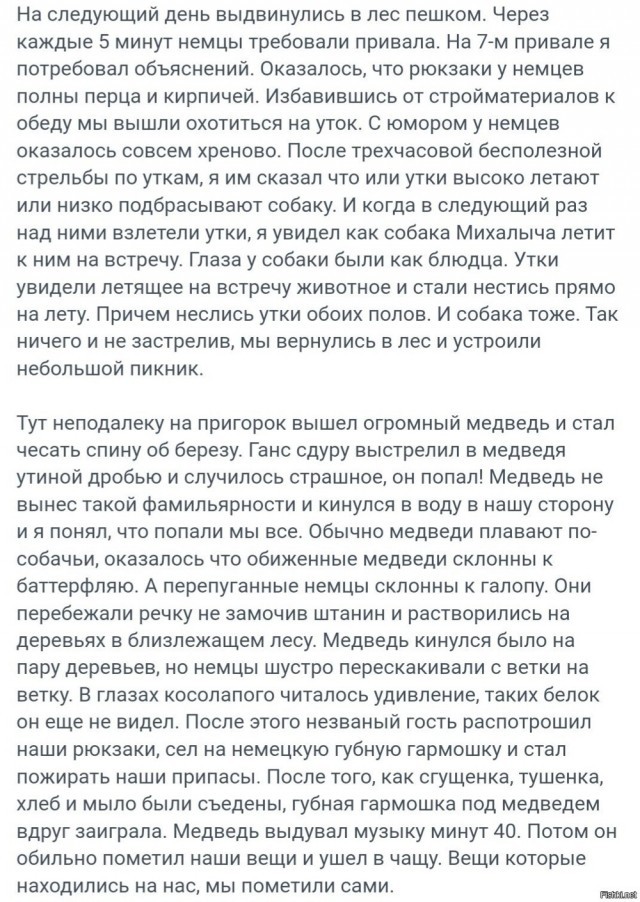 Медведь умный, опасный и всегда голодный.