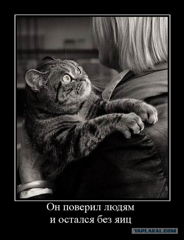 А он взял и не утонул!