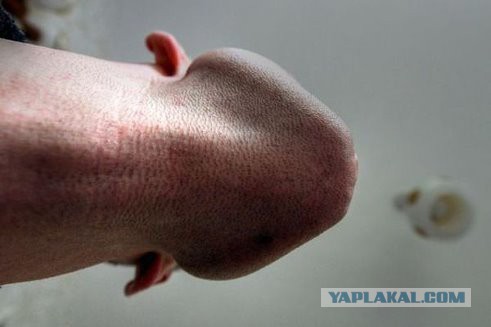 Лучший DJ в мире.