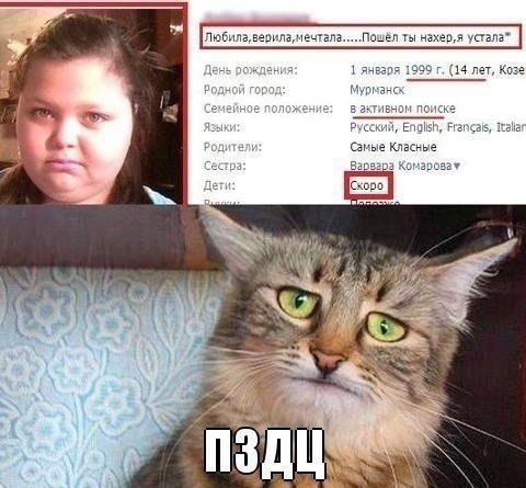 Смешные комментарии из социальных сетей