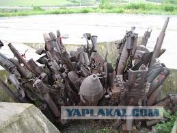 Нашел на дачном участке.