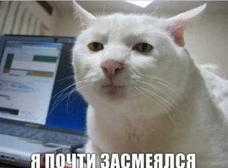 10 фраз которые будут полезны,когда придут русские