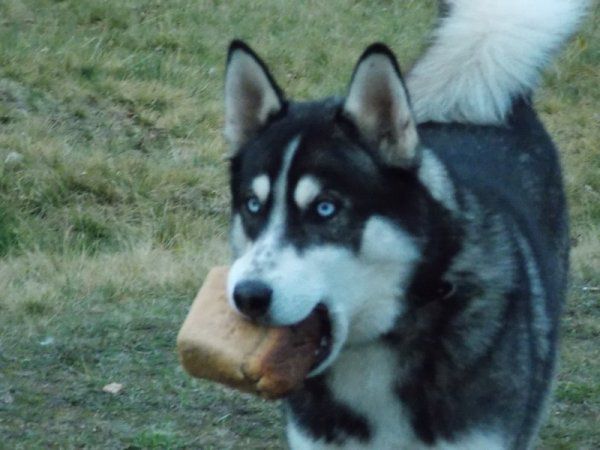 14 дней на Кольском полуострове
